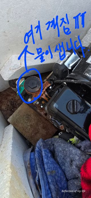 산골아찌님의 기타작물 · 영농일지 작성글 사진