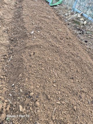 덕포킴님의 감자 · 영농일지 작성글 사진