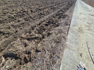 신언중님의 벼 · 영농일지 작성글 사진