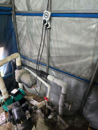 축복농장님의 기타작물 · 영농일지 작성글 사진