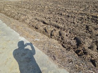 신언중님의 벼 · 영농일지 작성글 사진