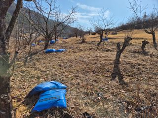 최문탁님의 감 · 영농일지 작성글 사진