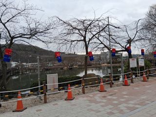 영수농원님의 기타작물 · 영농일지 작성글 사진