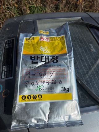 라온베리님의 감자 · 영농일지 작성글 사진