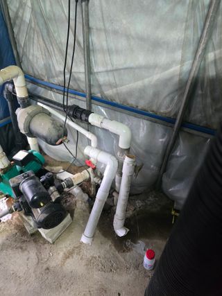 축복농장님의 기타작물 · 영농일지 작성글 사진