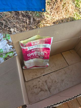 라온베리님의 감자 · 영농일지 작성글 사진