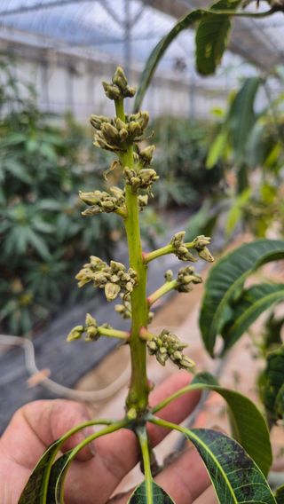 최근만님의 기타작물 · 영농일지 작성글 사진