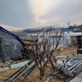 팜모닝 콩·영농일지 게시글 이미지