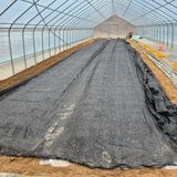 팜모닝 기타작물·영농일지 게시글 이미지