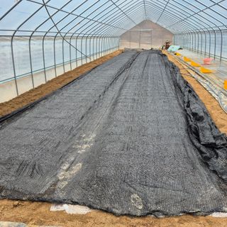 감자7437님의 기타작물 · 영농일지 작성글 사진