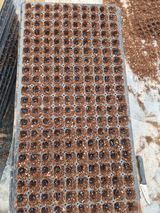 농민님의 작성글 사진