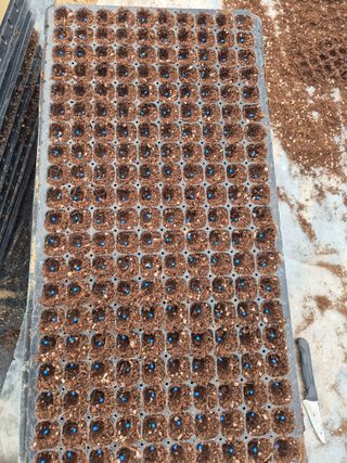 농민님의 상추 · 영농일지 작성글 사진