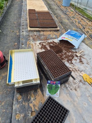 농민님의 상추 · 영농일지 작성글 사진