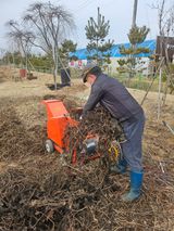 팜모닝 고구마·영농일지 게시글 이미지