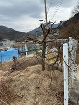 이익수님의 작성글 사진