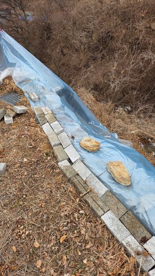 햇살농원 고현숙님의 사과 · 영농일지 작성글 사진