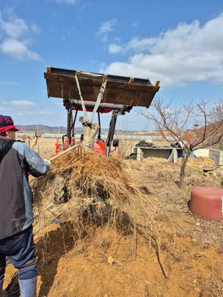 김한수님의 기타작물 · 영농일지 작성글 사진
