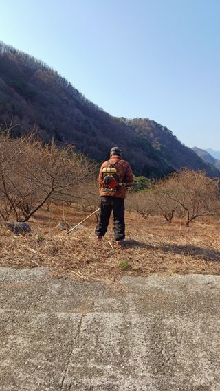 이순기님의 두릅 · 영농일지 작성글 사진