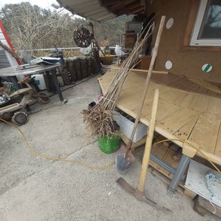 가로수님의 두릅 · 영농일지 작성글 사진