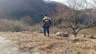 이순기님의 두릅 · 영농일지 작성글 사진