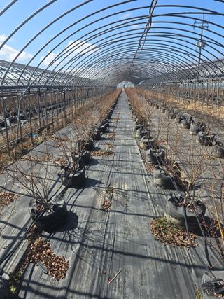 축복농장님의 기타작물 · 영농일지 작성글 사진