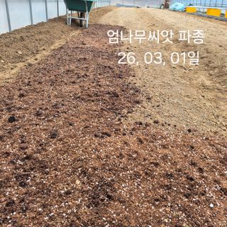 감자7437님의 기타작물 · 영농일지 작성글 사진