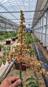 팜모닝 기타작물·영농일지 게시글 이미지