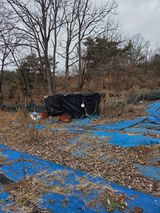 팜모닝 기타작물·영농일지 게시글 이미지