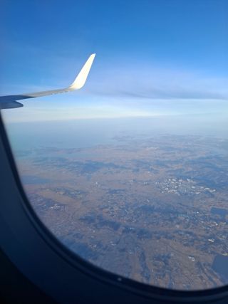 결단이님의 기타작물 · 영농일지 작성글 사진