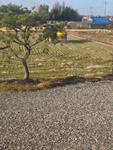 김경자님의 작성글 사진