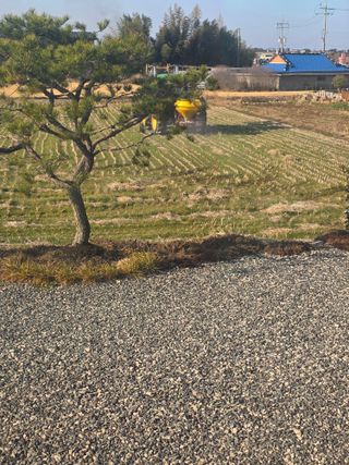 김경자님의 벼 · 영농일지 작성글 사진