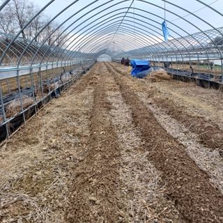 김진영님의 콩 · 영농일지 작성글 사진