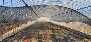 김제일님의 기타작물 · 영농일지 작성글 사진