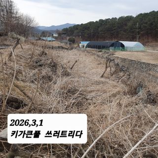 시민농장님의 기타작물 · 영농일지 작성글 사진