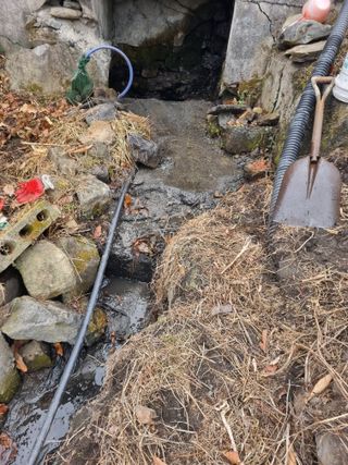 김용대님의 기타작물 · 영농일지 작성글 사진