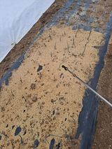 이한재님의 작성글 사진