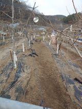 박상현님의 작성글 사진