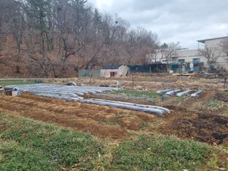 양길호님의 기타작물 · 영농일지 작성글 사진