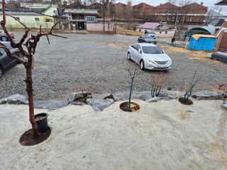 송명식님의 기타작물 · 영농일지 작성글 사진