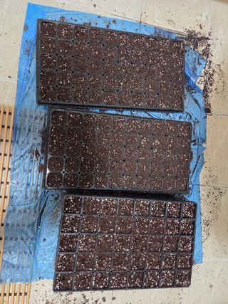 솔안농부님의 배추 · 영농일지 작성글 사진