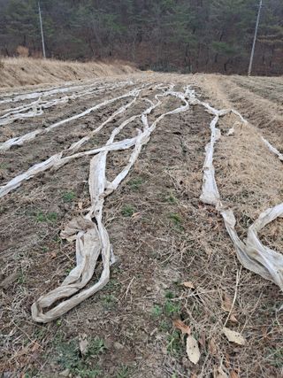 이한재님의 작성글 사진