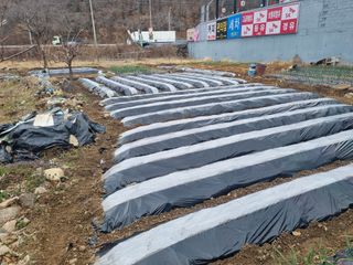 양길호님의 기타작물 · 영농일지 작성글 사진