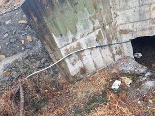 김용대님의 기타작물 · 영농일지 작성글 사진