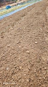 팜모닝 기타작물·영농일지 게시글 이미지