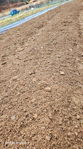 임상근님의 기타작물 · 영농일지 작성글 사진