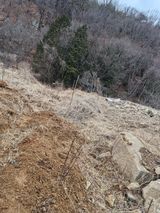 팜모닝 기타작물·영농일지 게시글 이미지