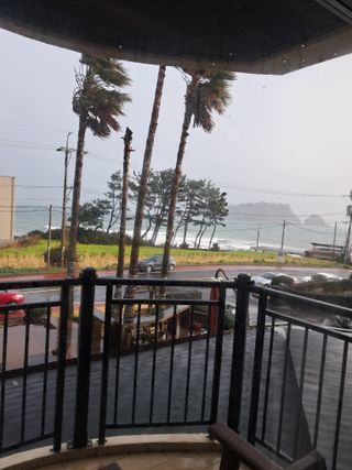 양배추20804님의 기타작물 · 영농일지 작성글 사진