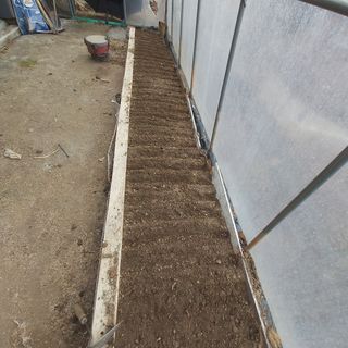 가로수님의 기타작물 · 영농일지 작성글 사진