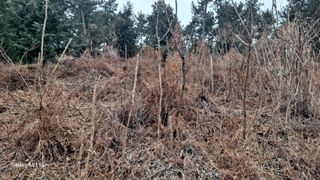 서인덕님의 기타작물 · 영농일지 작성글 사진