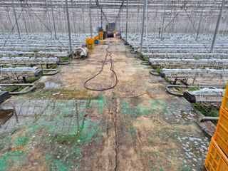 늘햇살팜 님의 기타작물 · 영농일지 작성글 사진